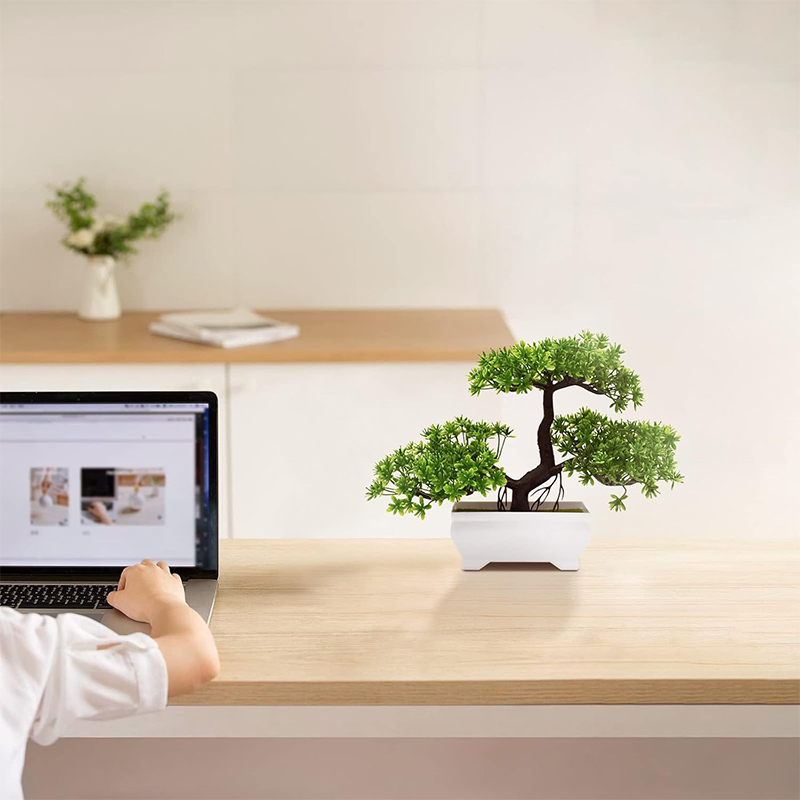 Kunstmatige Bonsai Plastic Bio - Home Office Layout recensie en prijs